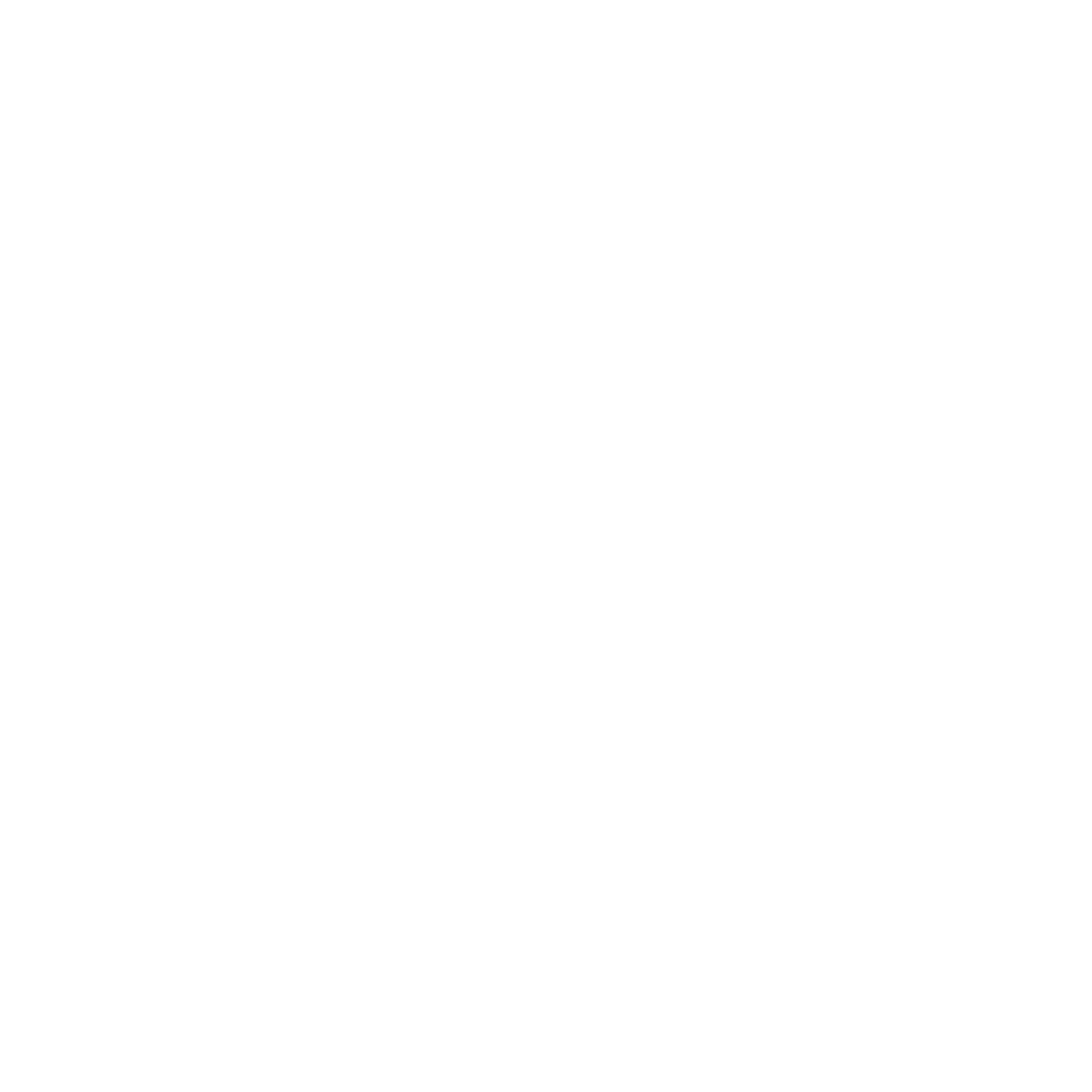IE Lung Logo
